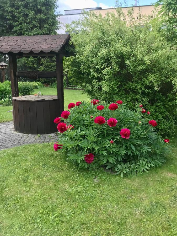 Mily Apartament Ustrzyki Dolne Exteriör bild
